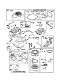 Blower-housing/tank/starter-rewind