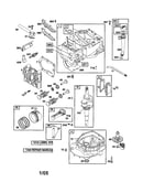 Cylinder/engine-sump/crankshaft