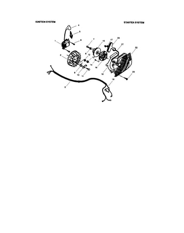 Ignition and starter system