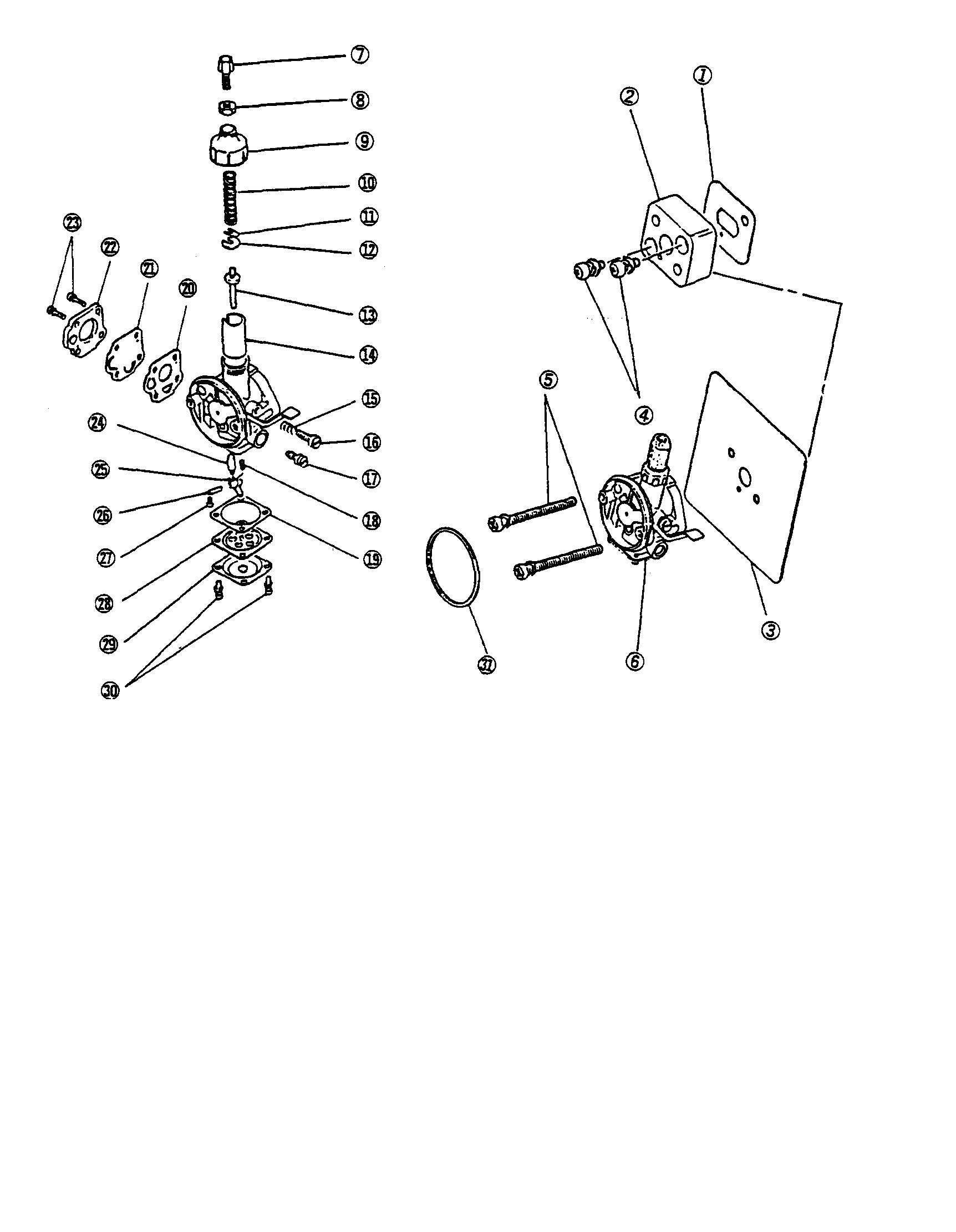 Carburetor system