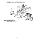 Natural gas burners and manifold