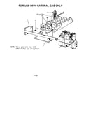 Natural gas burner and manifold