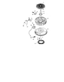 Ignition electrical