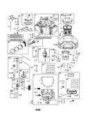 Cylinder/sump/crankshaft