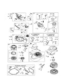 Carburetor/rewind starter