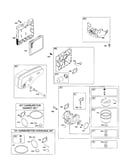 Carburetor/muffler