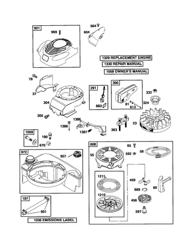 Rewind starter/fuel tank