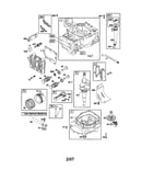 Cylinder/crankshaft/crankcase