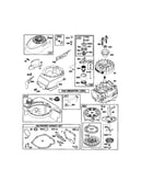 Rewind starter/blower housing