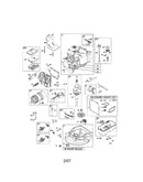Cylinder/crankshaft/crankcase