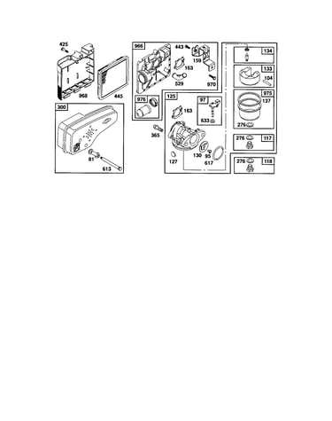Carburetor/air cleaner