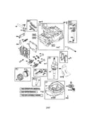 Cylinder/crankshaft/crankcase