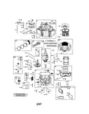 Cylinder/crankshaft/crankcase