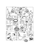 Carburetor/starter motor