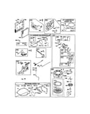Carburetor/rewind starter