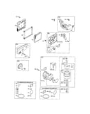 Carburetor/muffler/air cleaner