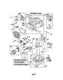 Cylinder/sump/crankshaft