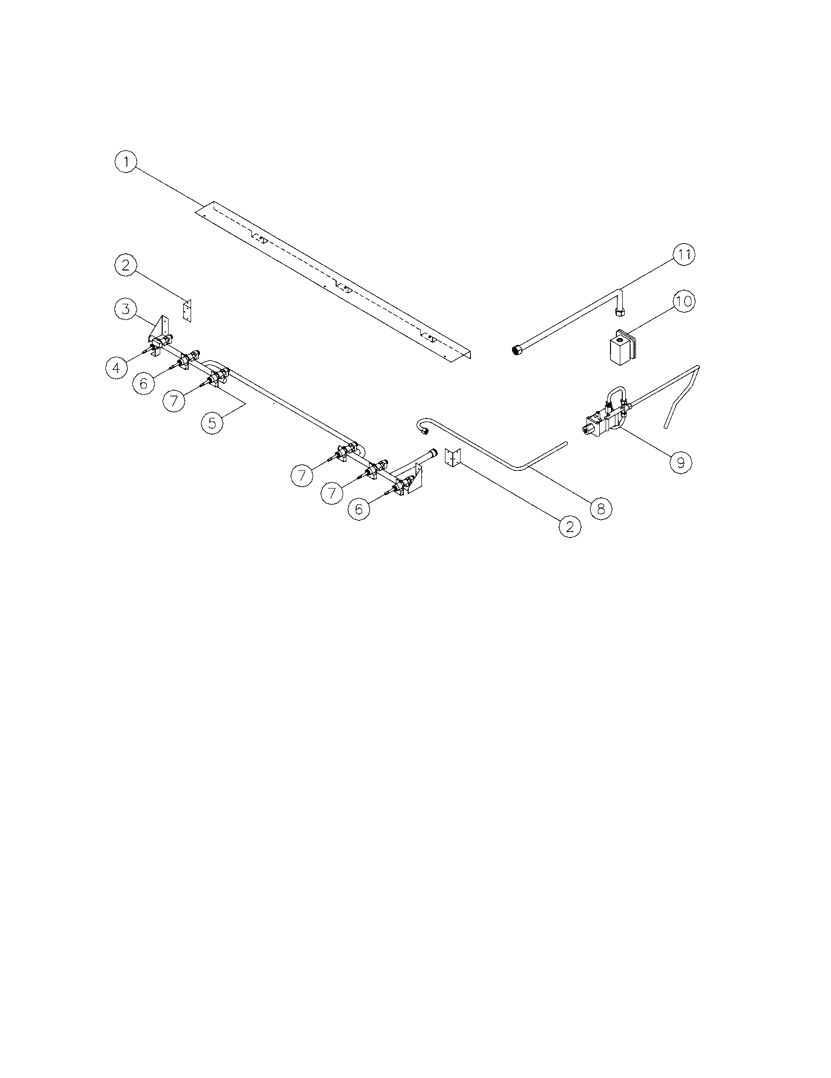 Manifold assembly