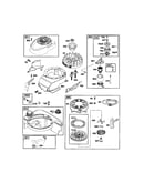 Rewind starter/motor starter
