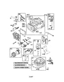 Cylinder/crankshaft/sump