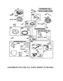 Motor-starter/alternator/flywheel