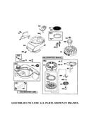 Rewind starter/fuel tank
