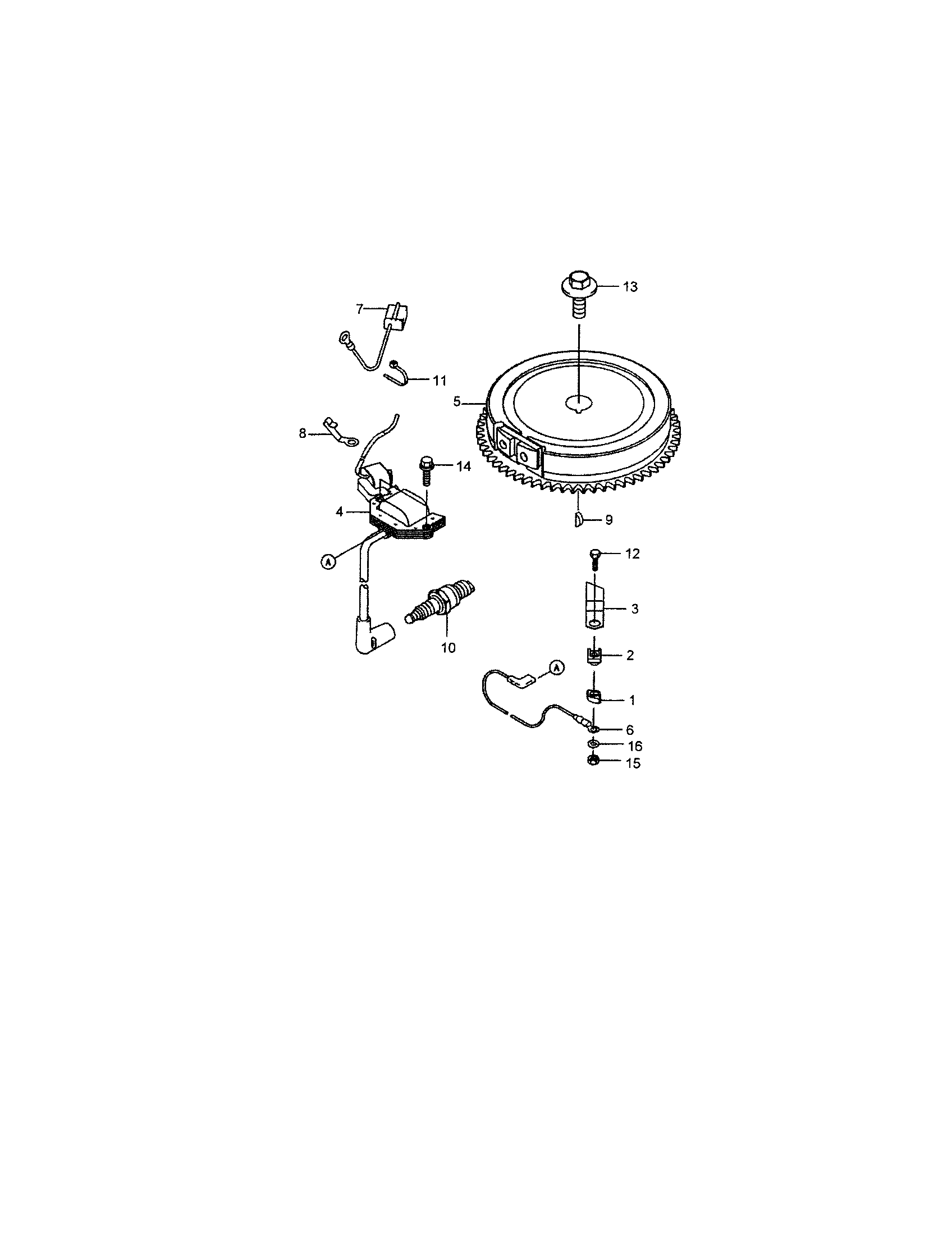 Flywheel/ignition coil