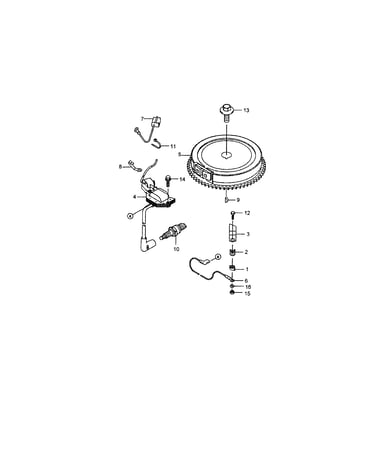 Flywheel/ignition coil