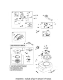 Carburetor/rewind starter