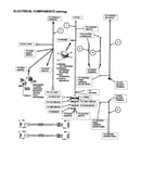 Electrical (wiring)