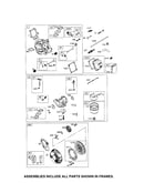 Carburetor/rewind starter