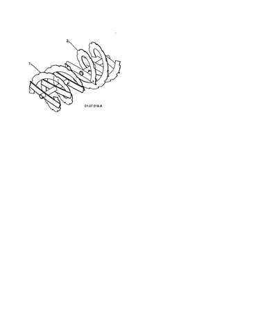 Auger