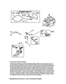 Brake/magneto armature