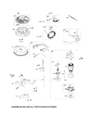 Starter motor/alternator