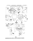 Cylinder/crankshaft/crankcase