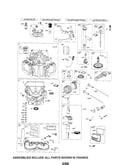 Cylinder/crankshaft/sump