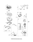 Starter motor/alternator