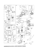 Carburetor/blower/starter motor