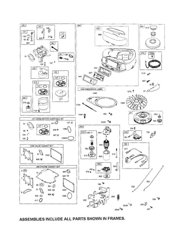 Carburetor/blower/starter motor
