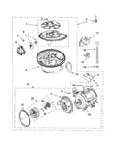 Pump and motor