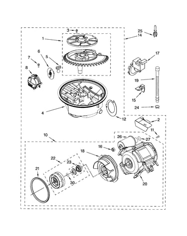 Pump and motor