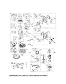 Carburetor/motor starter