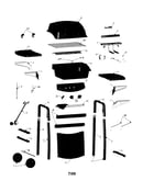 Gas grill