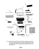 Gas grill