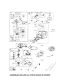 Carburetor/blower housing