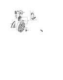 Flywheel (1)