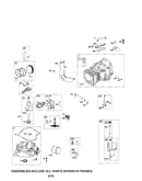 Cylinder/crankshaft/crankcase