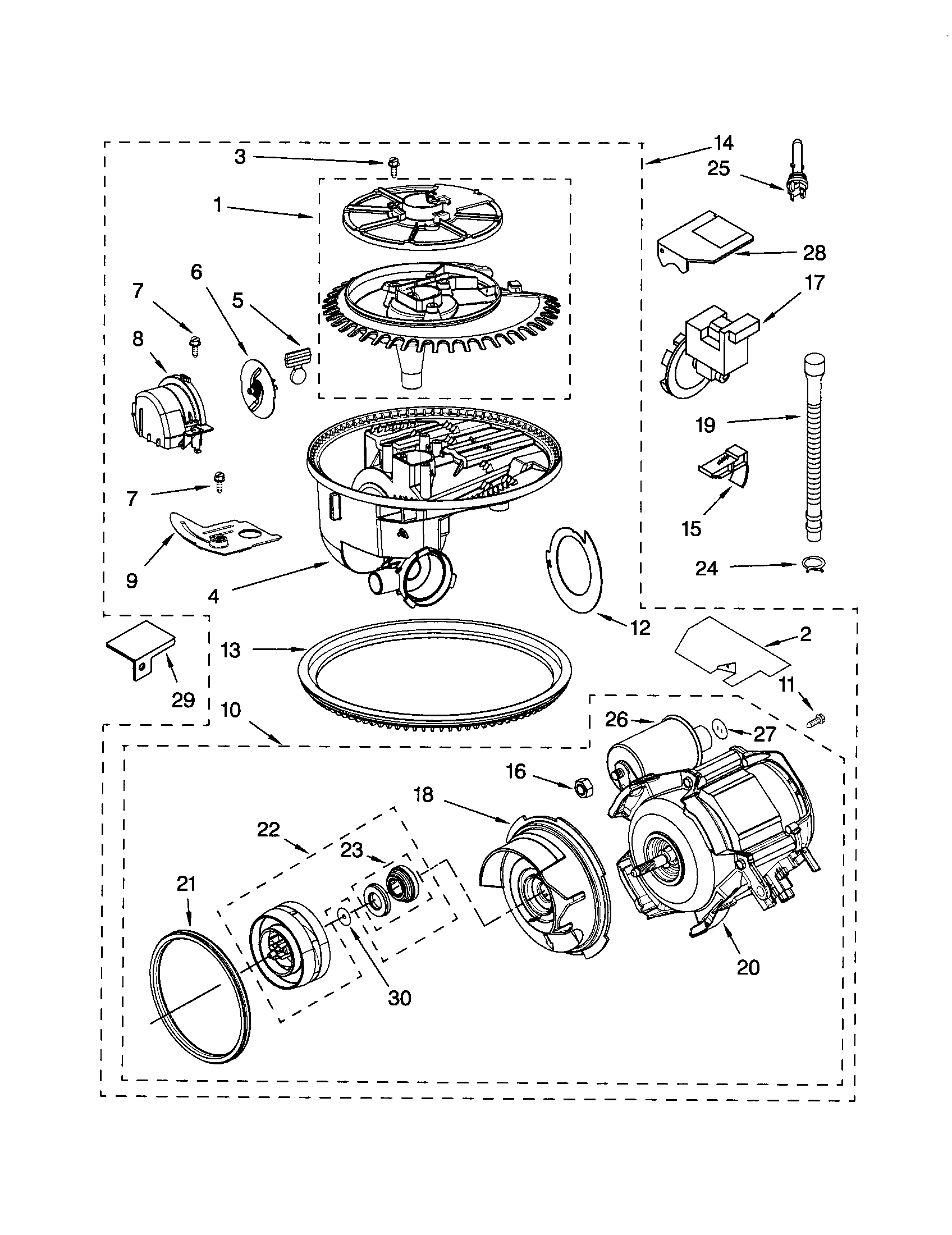 Pump and motor