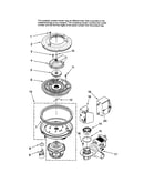 Pump & motor
