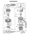 Pump and motor
